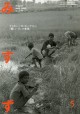 2006年5月号