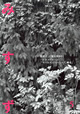 2009年5月号