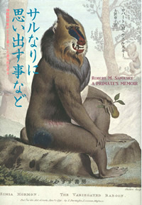 サルなりに思い出す事など