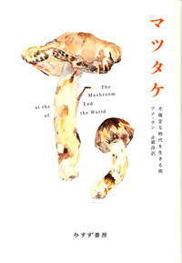 マツタケ