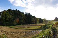 写真1　福島県飯野町