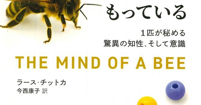 ハチは心をもっている | 1匹が秘める驚異の知性、そして意識 | みすず書房