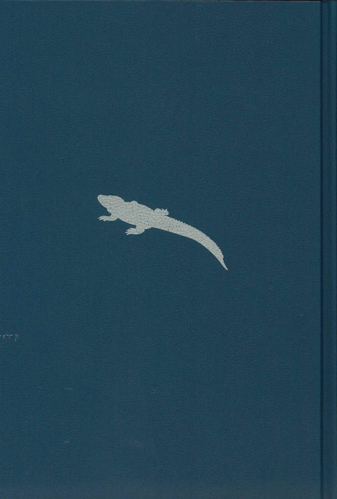 『クロコダイルに魅せられて』表紙