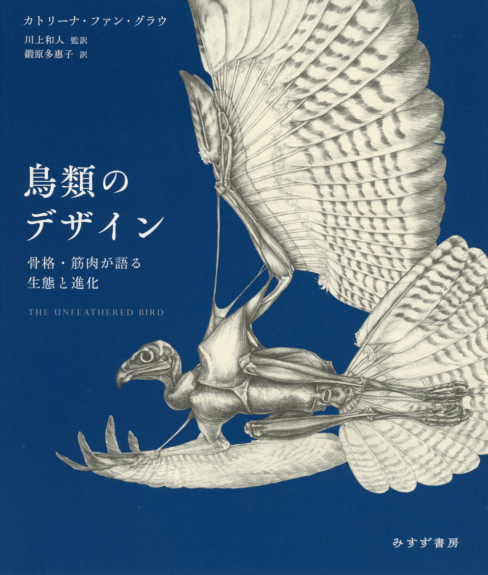 鳥類のデザイン みすず書房