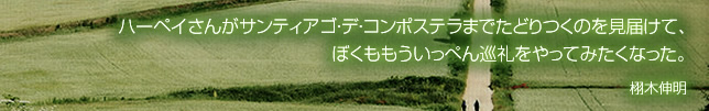 ハーペイさんがサンティアゴ・デ・コンポステラまでたどりつくのを見届けて、ぼくももういっぺん巡礼をやってみたくなった。 栩木伸明